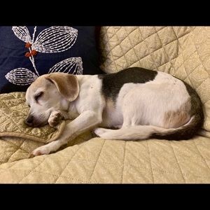 Meet your Posher, Carrie